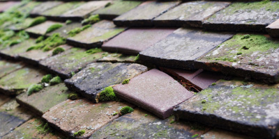 Portskewett roof repair costs